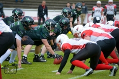 Gameday 11.05.2019 - Rheine Raptors