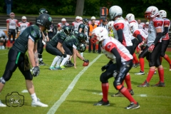 Gameday 11.05.2019 - Rheine Raptors