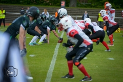 Gameday 11.05.2019 - Rheine Raptors