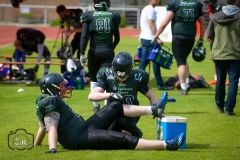 Gameday 11.05.2019 - Rheine Raptors