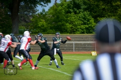 Gameday 11.05.2019 - Rheine Raptors