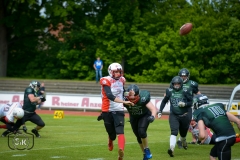 Gameday 11.05.2019 - Rheine Raptors