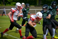 Gameday 11.05.2019 - Rheine Raptors