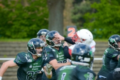 Gameday 11.05.2019 - Rheine Raptors