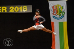 BDK-Turnier Neuenkirchen 2018