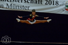 Westfalenmeisterschaft Münster 2018